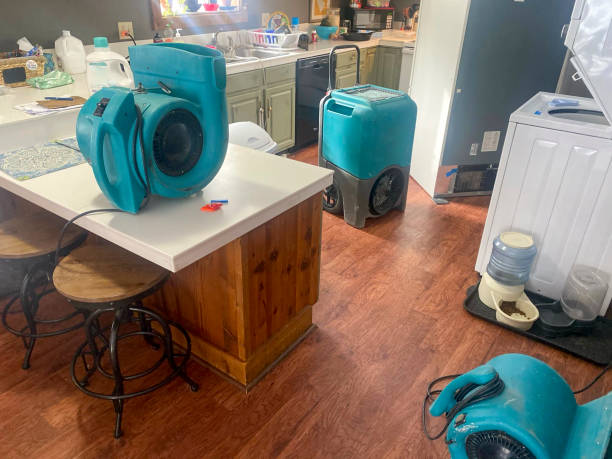 Best Residential water damage restoration  in Vancleave, MS