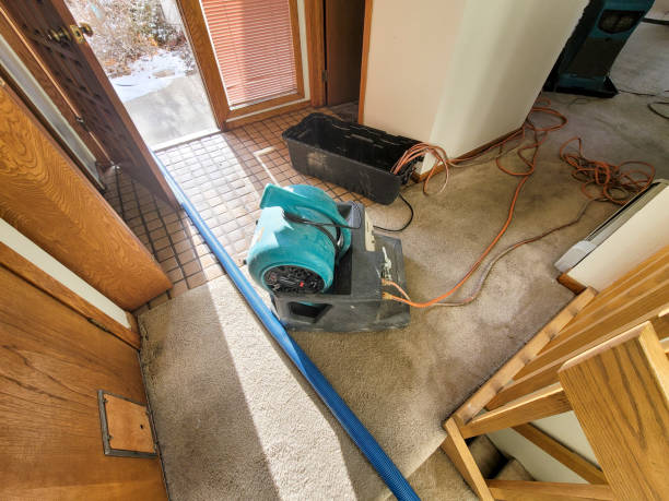 Best Commercial water damage restoration  in Vancleave, MS
