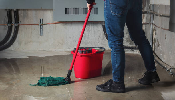 Best Water damage restoration company  in Vancleave, MS