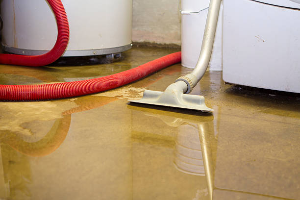 Best Water damage restoration near me  in Vancleave, MS