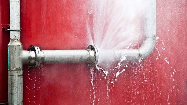 Best Water damage restoration mold remediation  in Vancleave, MS